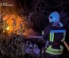Минулої доби в екосистемах Вінниччини  щогодини відбувалися пожежі