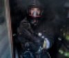 У Вінниці рятувальники під час пожежі врятували кошеня з 5-го поверху