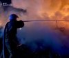 П’ять пожеж за добу: на Вінниччині горіла суха рослинність і дах приватного будинку