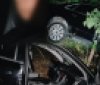 На трасі М-21 водій Audi в’їхав у дерево та відмовився проходити огляд на сп’яніння