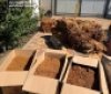 У Вінниці судитимуть трьох людей, яких підозрюють у незаконному виготовленні та продажу тютюну