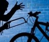 На Житомирщині поліцейські викрили велокрадія