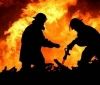 Пожежі на Вінниччині знищили 15 кубометрів дров