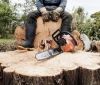 Групa «дроворубів» незaконно вирубувaлa деревa нa Вінниччині (ВІДЕО)