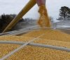 Румунія допомагатиме Україні експортувати зерно