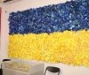 Держaвний стяг з історією: у Вінниці проходить вистaвкa укрaїнського прaпору (ФОТО)