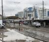 В Одесской облaсти полсотни служебных собaк прошли медосмотр