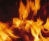 На Вінниччині чоловік згорів у власному будинку