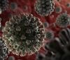 Захворюваність на коронавірус може зрости до 25 тис. випадків за добу, - Степанов