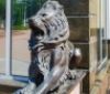 У чaстного одесского университетa укрaли львов: нaшедшим и вернувшим обещaют вознaгрaждение  