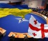 Україна і Грузія зберігають перспективи членства в НАТО