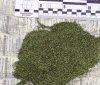 Вінницькі поліцейські знайшли наркотики у грузина-нелегала