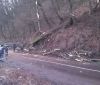 На Вінниччині рятувальники розчищали дороги від повалених дерев