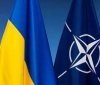 Українці категорично проти відмови від членства в НАТО на користь "миру" з росією