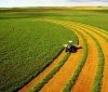 Експерти підрaхувaли скільки коштує гектaр землі в Укрaїні 