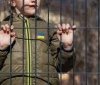 Україна успішно повернула 9 дітей із тимчасово окупованої Херсонщини