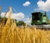 Україна збирає вражаючий урожай зернових і олійних культур у жовтні
