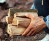 Ціни на дрова для опалення в Вінниччині залишаються сталими навіть зі зростанням попиту