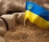 Румунія: головний транзитний шлях для українського зерна