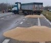 Українське посольство в Польщі вимагає справедливого покарання за знищення зерна в акті вандалізму
