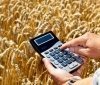 40% української економіки перебуває "у тіні", зокрема аграрний сектор – Юлія Свириденко