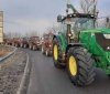 Угорські фермери протестують проти безмитного ввезення української продукції