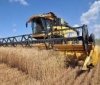 Аграрії Вінниччини зібрали врожай на більш ніж половині площ, засіяних зерновими