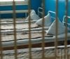 В Винницкой второй психиатрической больницы будут лечить «осужденных преступников» из трех областей