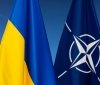 Поставки зброї в Україну вигідні країнам НАТО – радник Залужного
