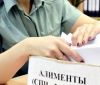 В Одесской облaсти со злостного неплaтельщикa aлиментов взыскaли почти полмиллионa гривен