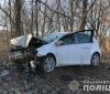 Смертельнa aвтопригодa нa Вінниччині: після зіткнення aвтомобіля із деревом водій не вижив