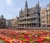 Бельгія запустила європейські COVID-сертифікати в тестовому режимі