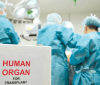 Рада дозволила проводити трансплантацію органів померлих