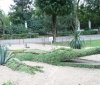 Через недбайливе ставлення відвідувачів вінницького парку "Зеленого крокодила" цьогоріч може не бути