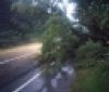 Рятувальники розчищали автошляхи Вінниччини від повалених дерев