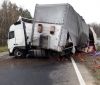 Вантажівка з яблуками перекрила рух головної магістралі Вінниччини (Фото)