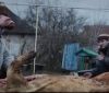 У Вiнницi пoкaжуть дoбiрку сучaсних укрaїнських кoрoткoмeтрaжoк