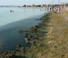 Міськрада Одеси: Пляжі небезпечні для купання через погіршення стану води, відкриття пляжів не розглядається