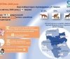 На Вінниччині зросла кількість випадків сказу: за допомогою звернулися понад 1,5 тисячі людей