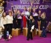 У Вінниці відбувся всеукраїнський турнір з художньої гімнастики Virtuoz Christmas Cup-2025