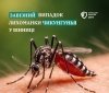 У Вінниці зафіксували завізний випадок лихоманки Чикунгунья