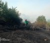  18 пожеж за добу: на Вінниччині вогонь знищив близько 14 гектарів екосистем