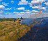 Понад 5 гектарів вигоріло: на Вінниччині за добу 15 разів гасили пожежі в екосистемах