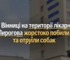 16 вересня у Вінниці на території обласної лікарні сталося масове отруєння собак.