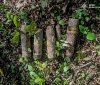 На Вінниччині знищили боєприпаси часів Другої світової війни