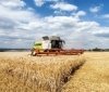Аграрії Вінниччини зібрали понад половину врожаю та розпочали посів озимини