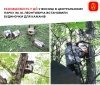 У Вінниці встановили будиночки для кажанів у Центральному парку ім. М. Леонтовича