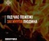 Фатальна необережність: у Гайсинському районі під час пожежі загинув чоловік
