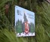 Понад 7 тисяч новорічних дерев: підсумки різдвяних ярмарків лісівників на Вінниччині