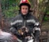 У Вінниці під час пожежі врятували 35 собак: одна тварина загинула